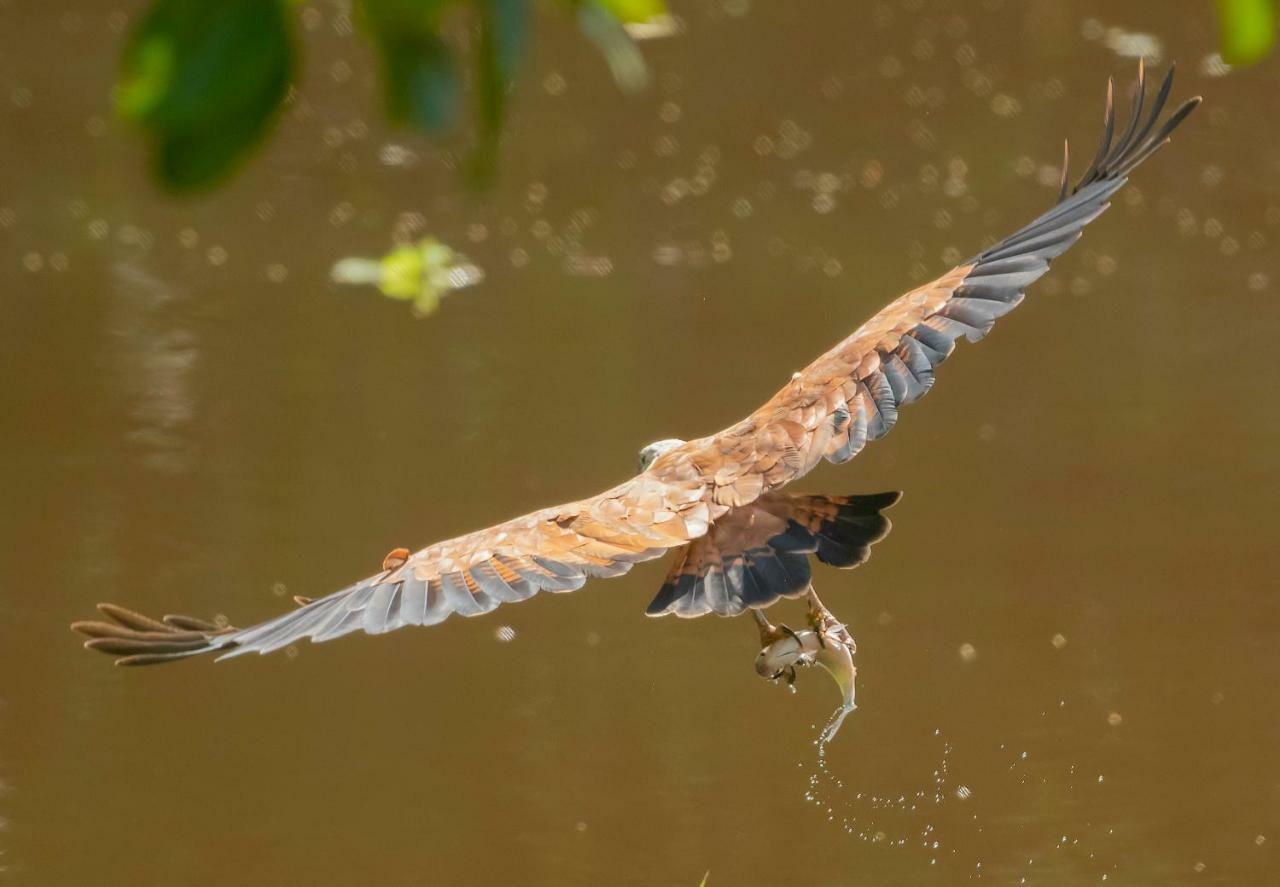Grand Amazon Lodge And Tours Paraiso Bagian luar foto